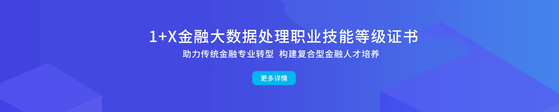 1+X职业手艺品级证书